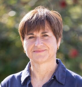 Marta Vives-Pi, BSC, PhD