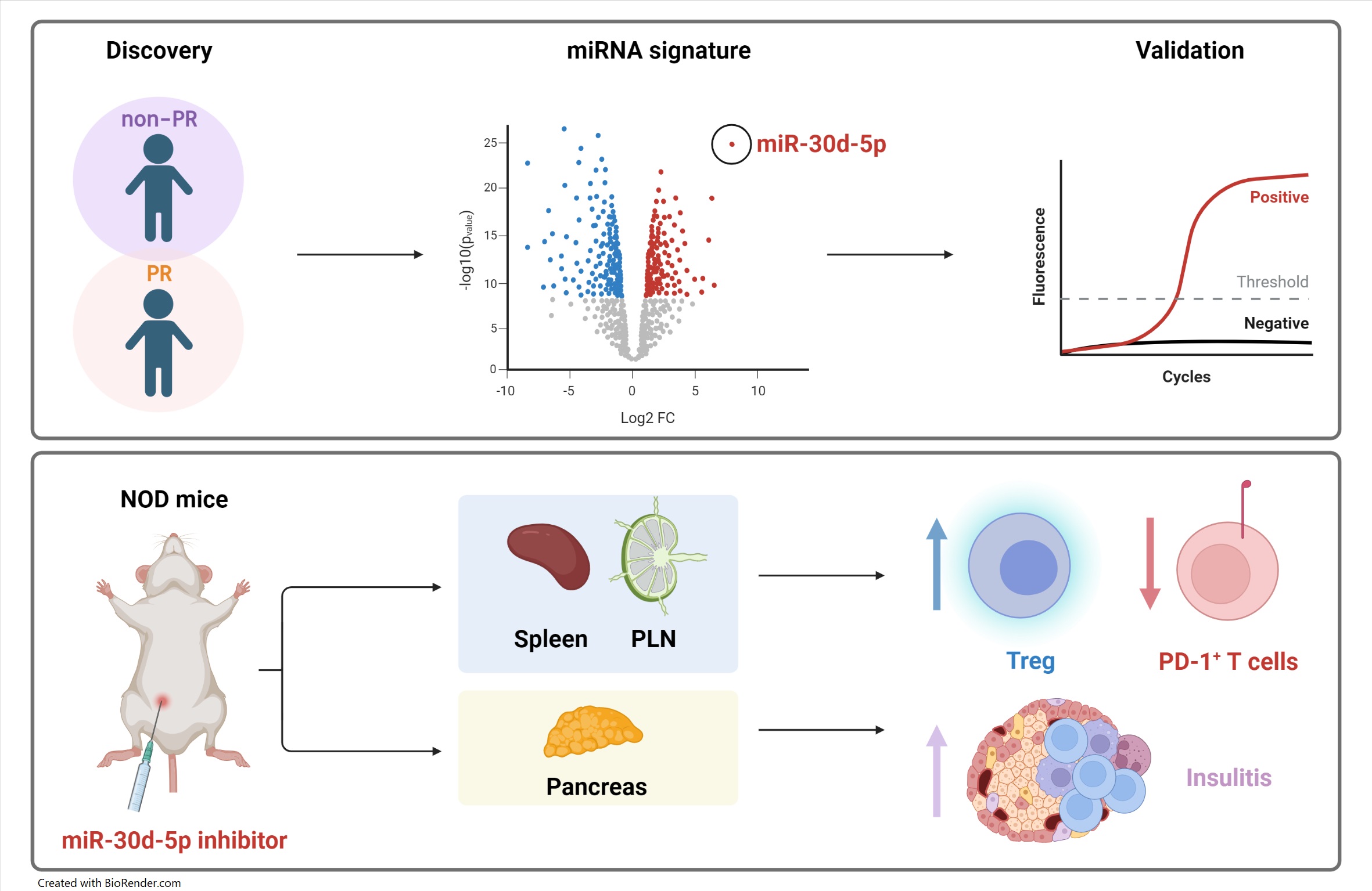 graphical abstract