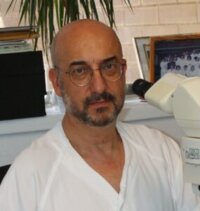 Pedro Luis Fernández Ruiz